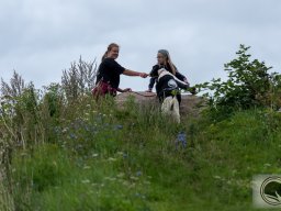DSC_1531_web